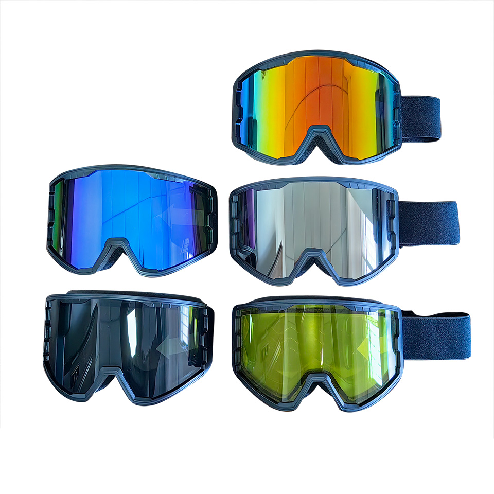 Ski Goggles